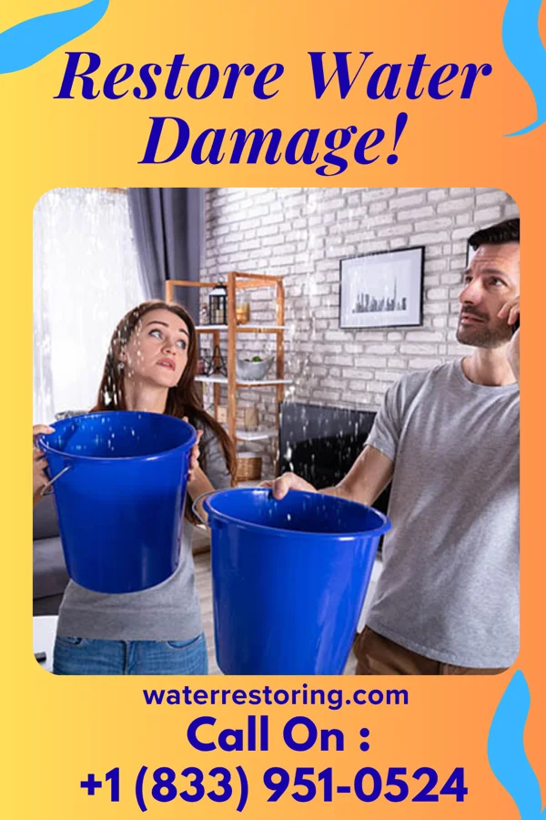 water restoration Modern Water Mitigation Company Hillandale