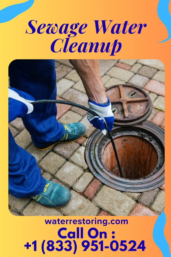 Sewage Water Cleanup in Hillandale, MD